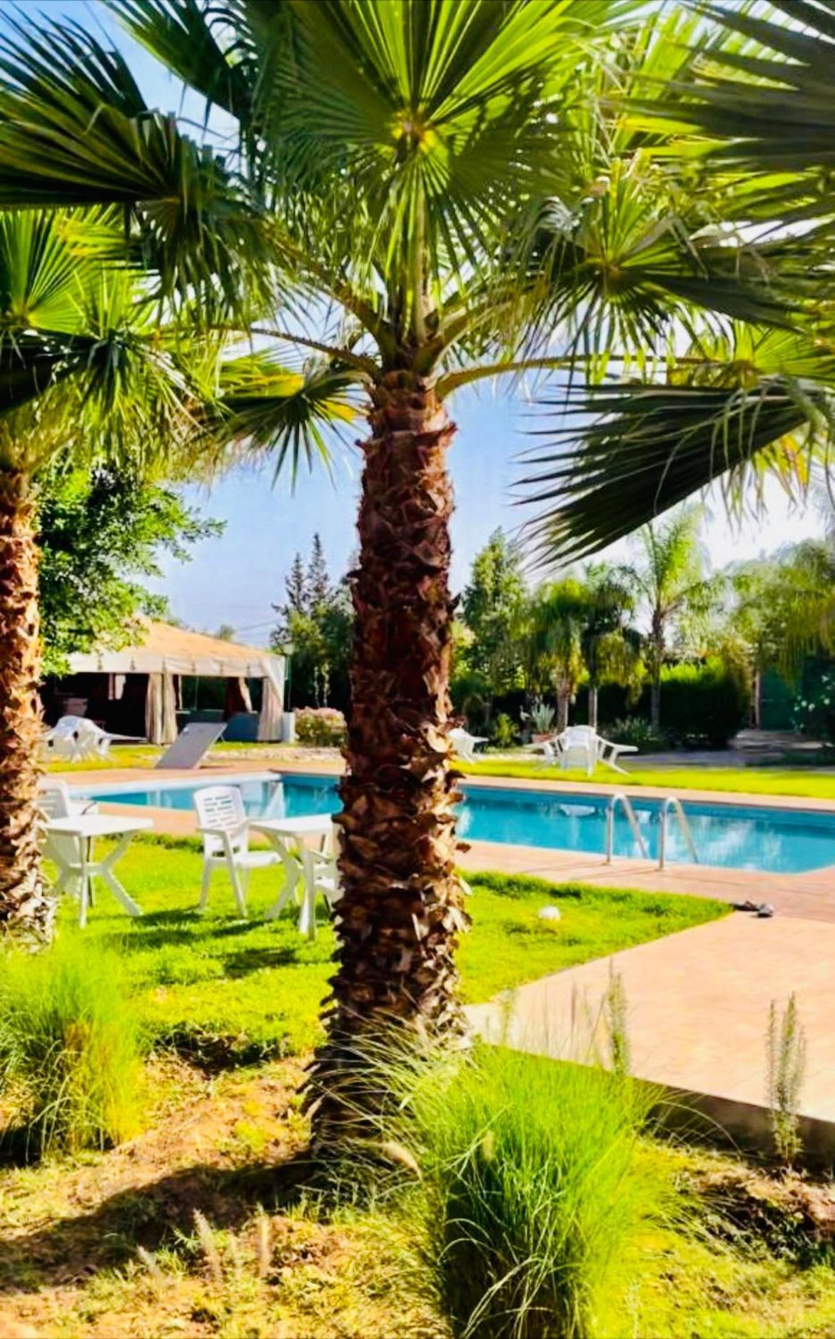 Villa Baddi Marrakech Lagouassem Εξωτερικό φωτογραφία
