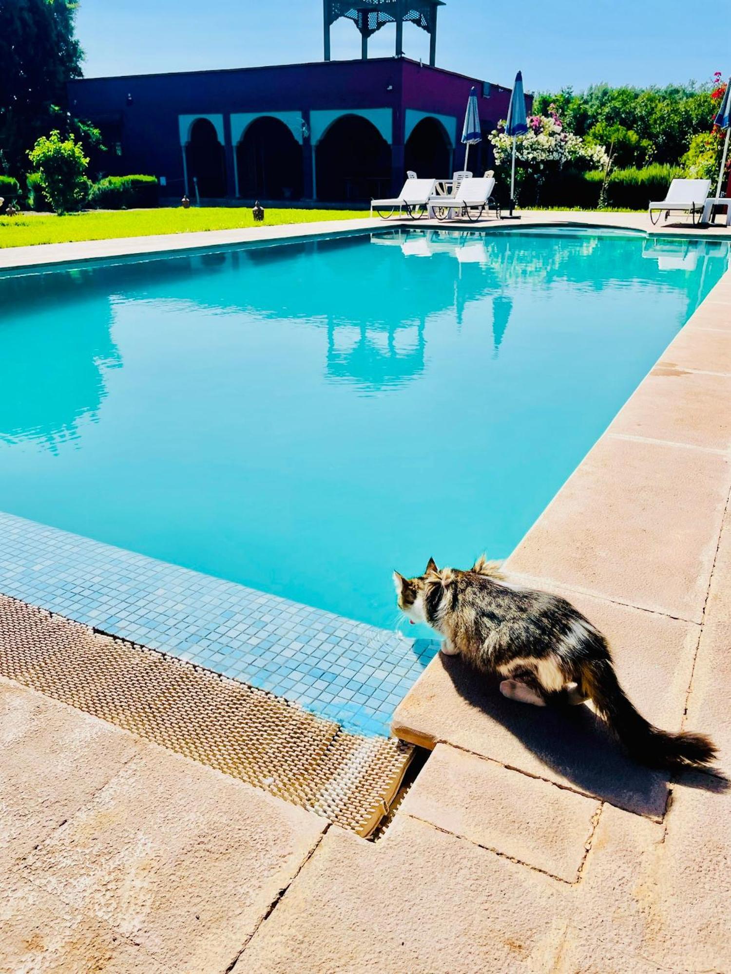 Villa Baddi Marrakech Lagouassem Εξωτερικό φωτογραφία