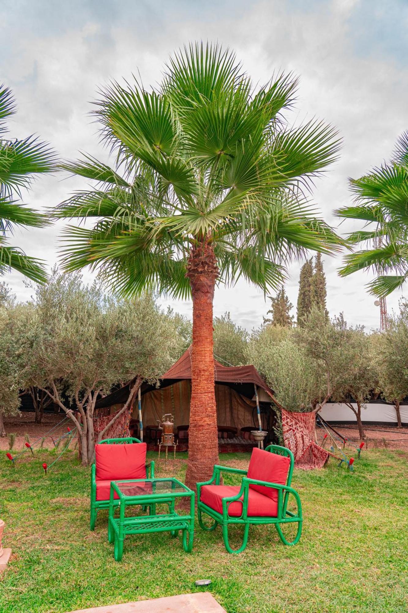 Villa Baddi Marrakech Lagouassem Εξωτερικό φωτογραφία